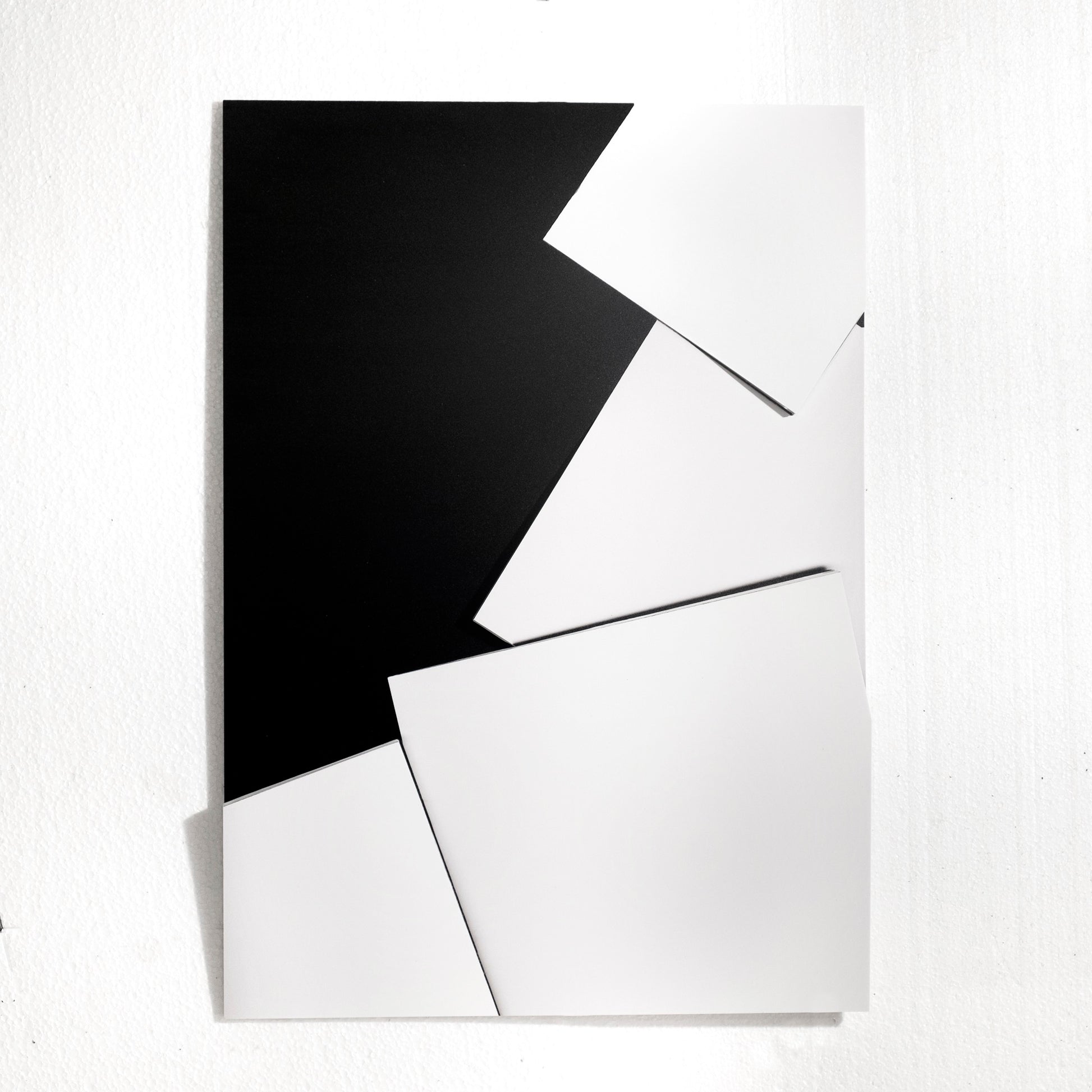 Florian Lechner kaufen 15041002 Raumschnit 2015 UV Direktdruck auf Forex geschlitzt plastischverformt 59_4x42x2cm